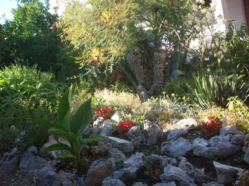 Apartments Tomovic Lumbarda Rom bilde
