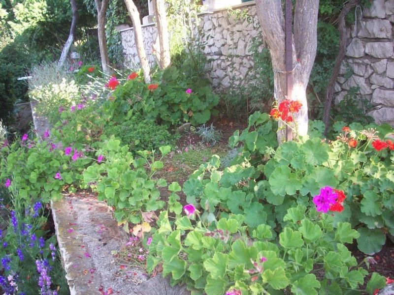 Apartments Tomovic Lumbarda Rom bilde